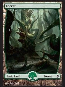 Forest - Zendikar (247)