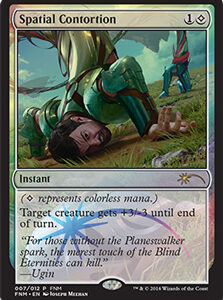 Spatial Contortion (FNM FOIL)