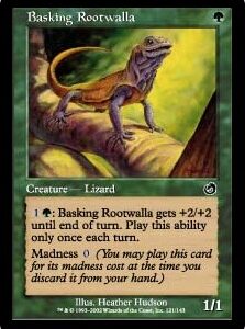 Basking Rootwalla