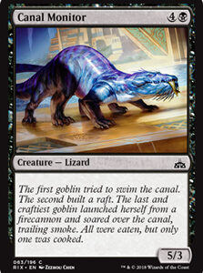 Canal Monitor (FOIL)