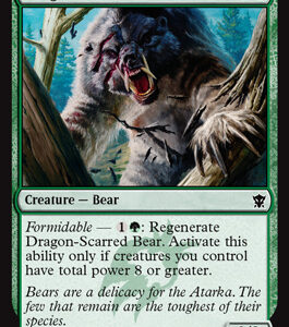 Dragon-Scarred Bear