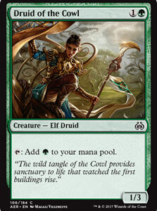 Druid of the Cowl (FOIL)