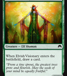 Elvish Visionary