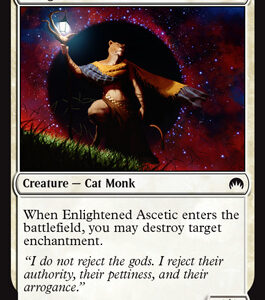 Enlightened Ascetic (FOIL)