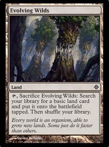 Evolving Wilds