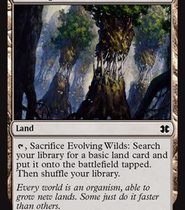 Evolving Wilds (FOIL)