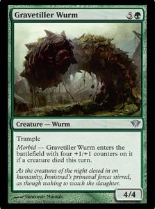 Gravetiller Wurm