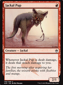 Jackal Pup (FOIL)