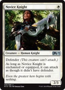 Novice Knight