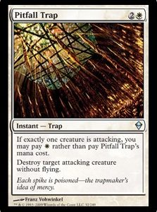 Pitfall Trap