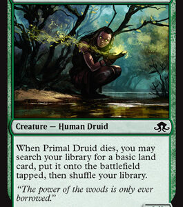 Primal Druid