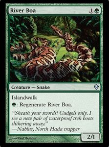 River Boa