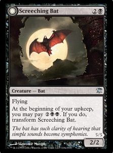 Screeching Bat