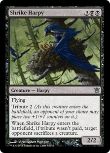 Shrike Harpy (FOIL)