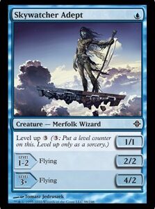 Skywatcher Adept (FOIL)