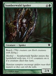 Somberwald Spider