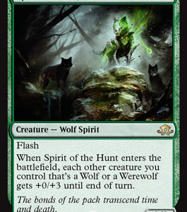 Spirit of the Hunt