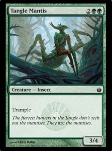 Tangle Mantis