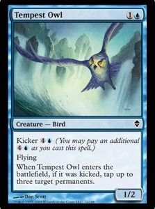 Tempest Owl