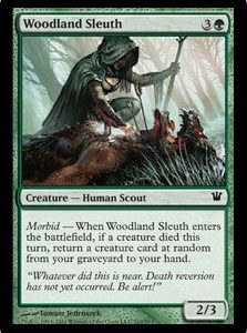 Woodland Sleuth