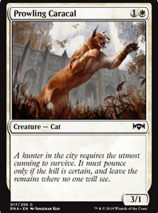 Prowling Caracal (FOIL)