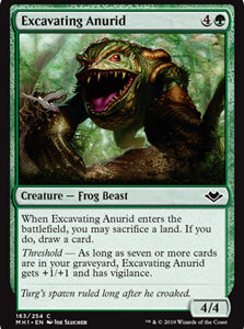 Excavating Anurid