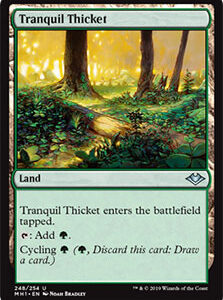 Tranquil Thicket (FOIL)