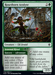 Rosethorn Acolyte (FOIL)