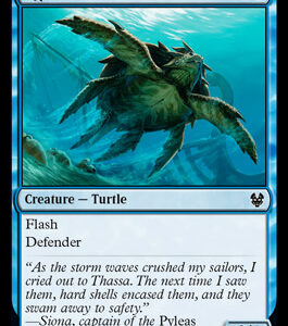 Riptide Turtle