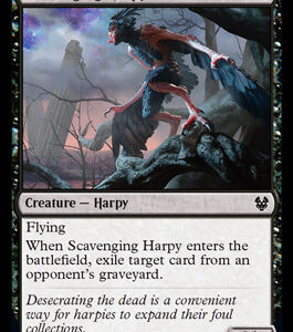 Scavenging Harpy