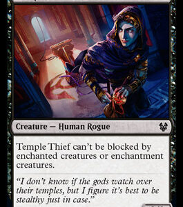 Temple Thief