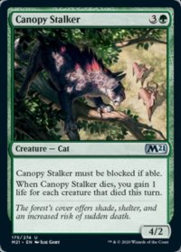 Canopy Stalker