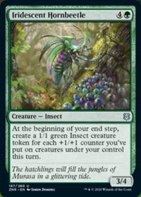 Iridescent Hornbeetle (FOIL)