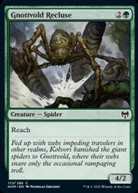 Gnottvold Recluse (FOIL)