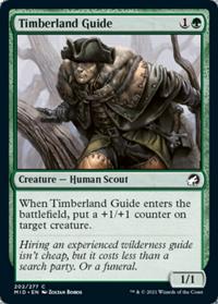 Timberland Guide (FOIL)