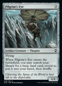 Pilgrim's Eye