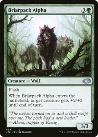 Briarpack Alpha