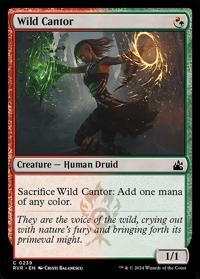 Wild Cantor (FOIL)